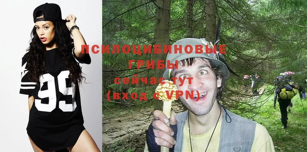 тгк Покровск