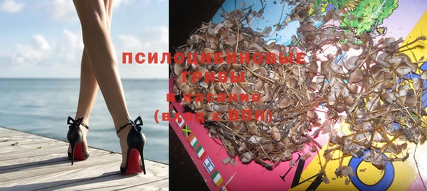 тгк Покровск